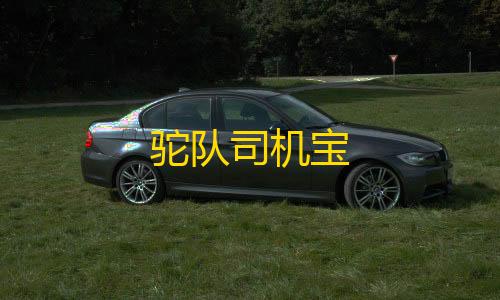 暗区突围科技直装免费驼队司机宝